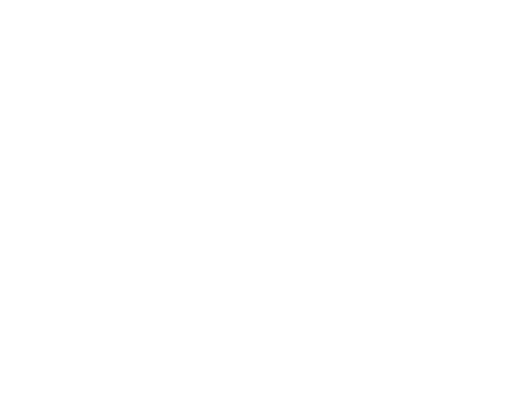 Diman Capital