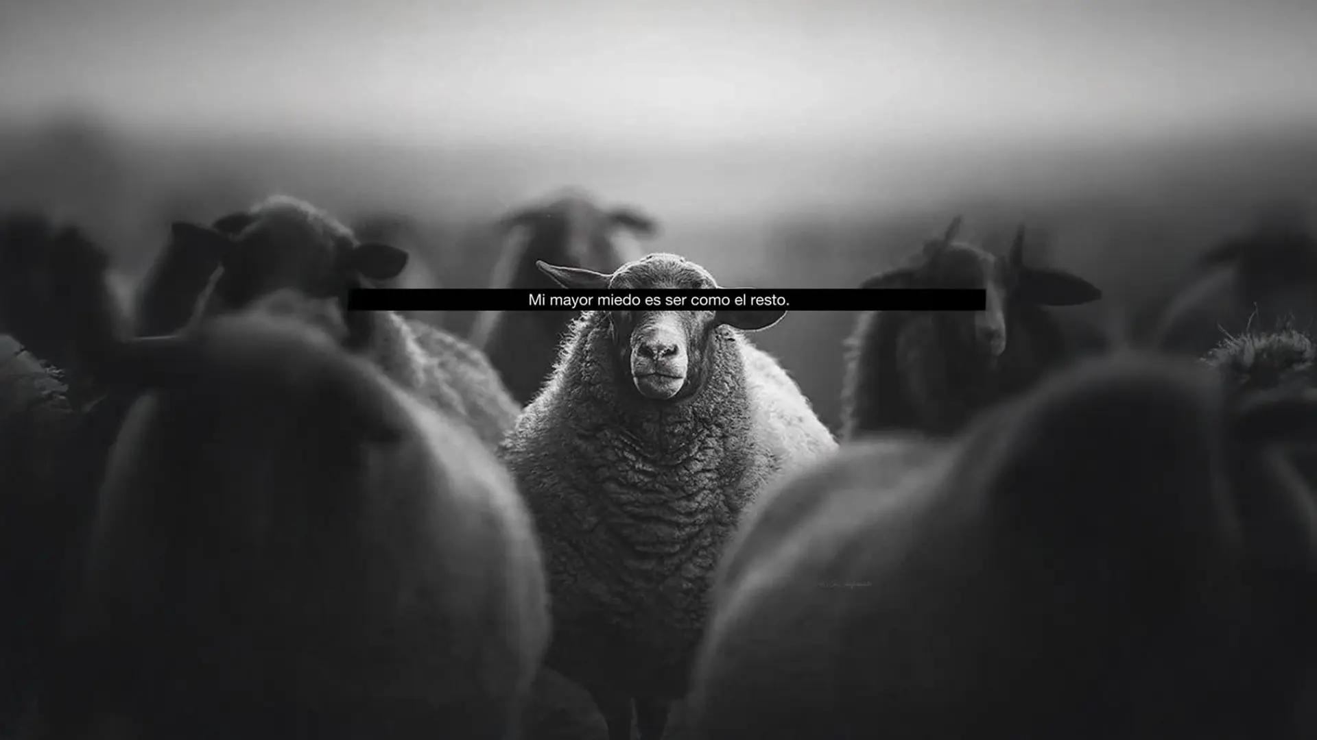 Mi mayor miedo es ser como el resto